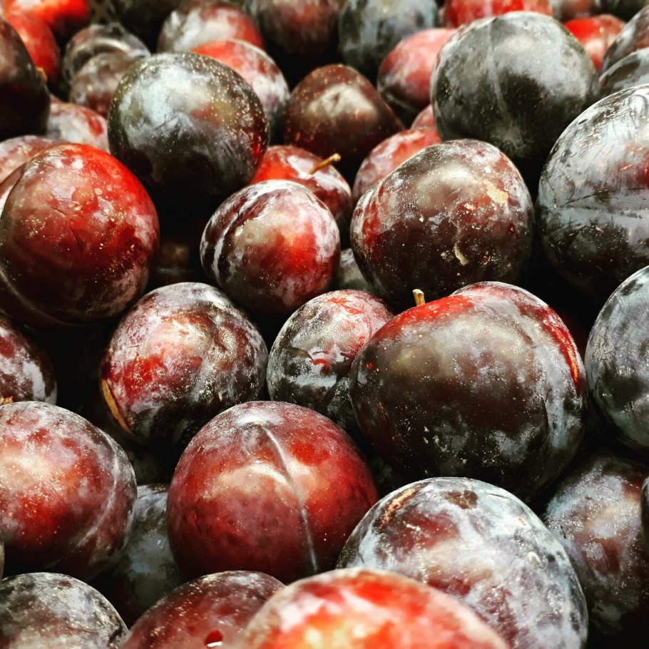 Слива русская Несмеяна