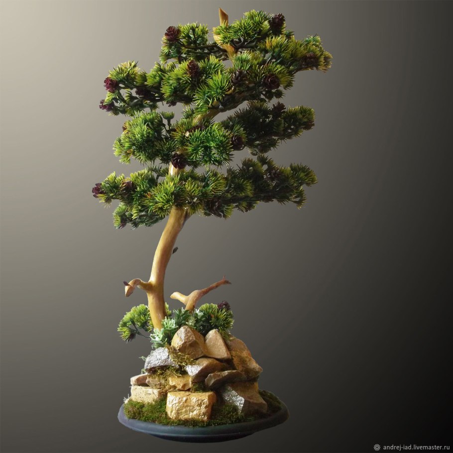 Сосна Горная Мугус ниваки