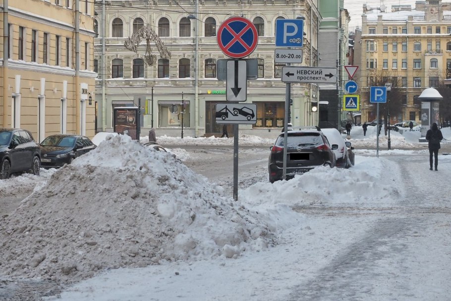 Сухой папоротник в снегу