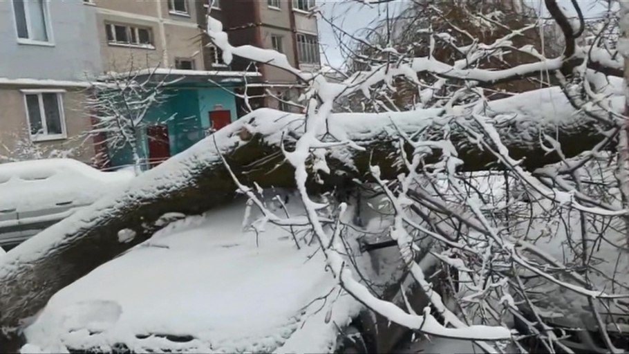 Стилизованное Обледенение