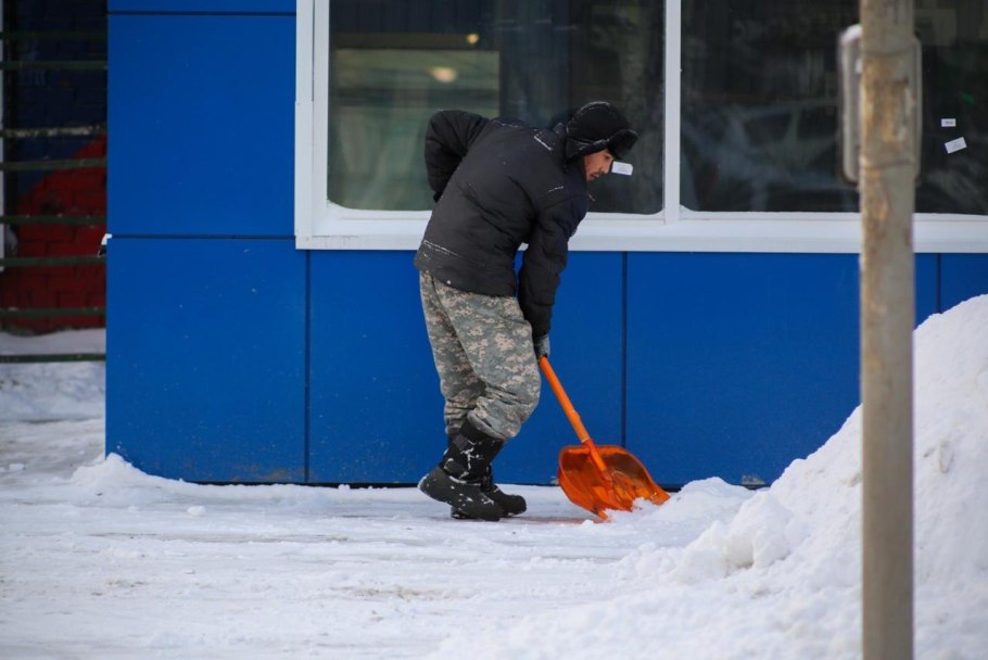Папоротник Виллоу