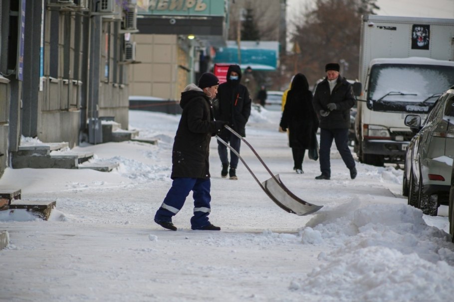 Серебряный папоротник