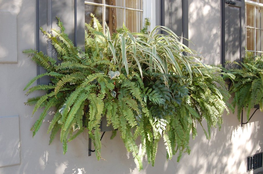 Пушистый снег