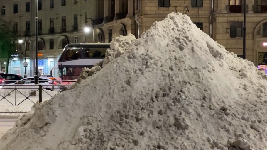 Винтер зимняя хвоя