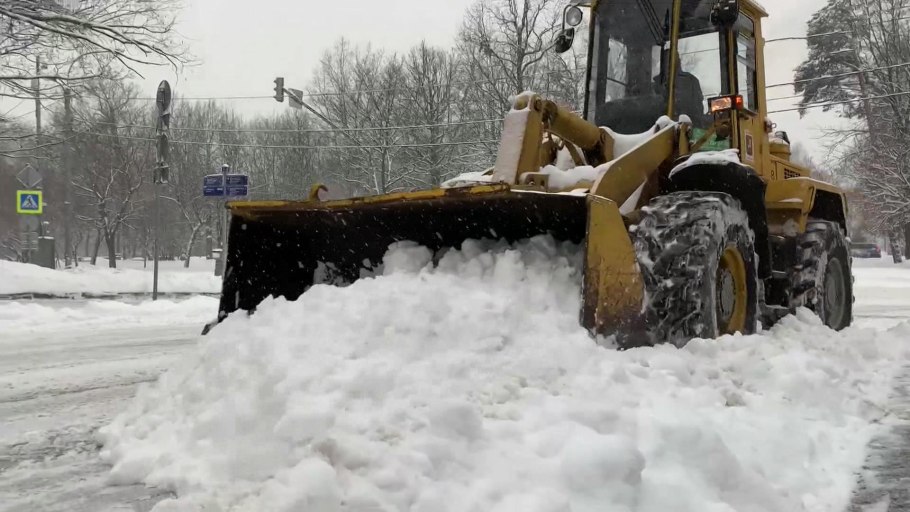 Папоротник в темноте