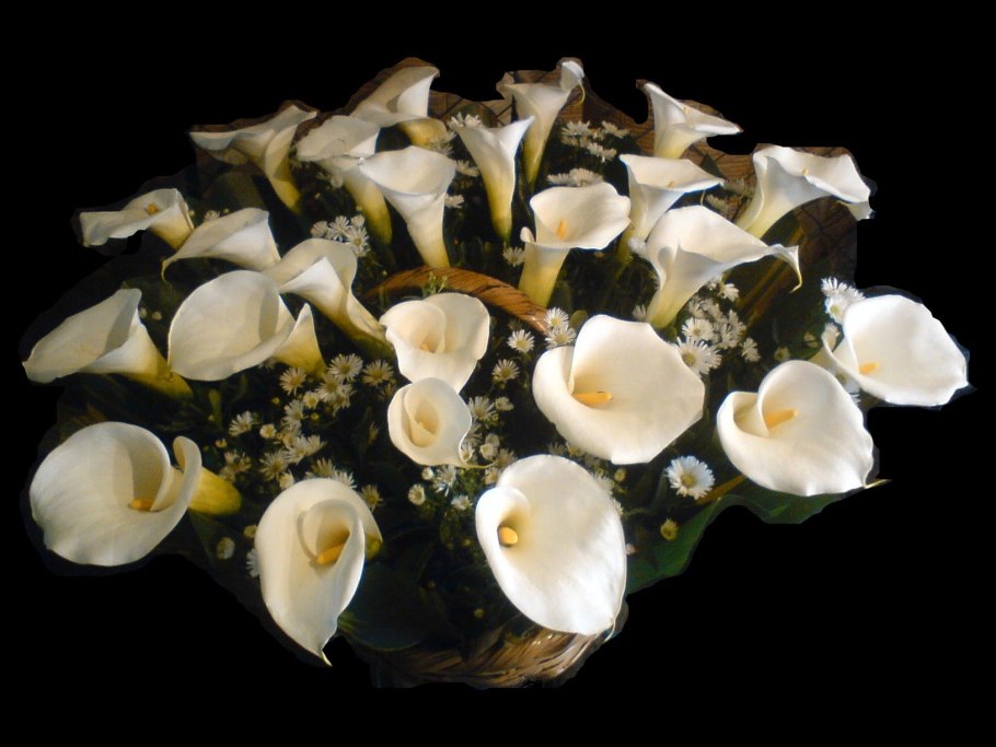 Каллы в зимнем букете