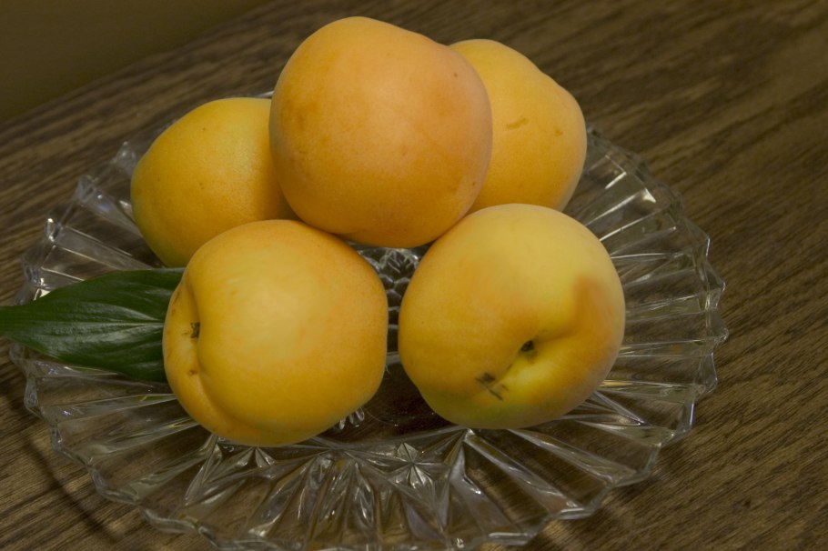 Слива санголд