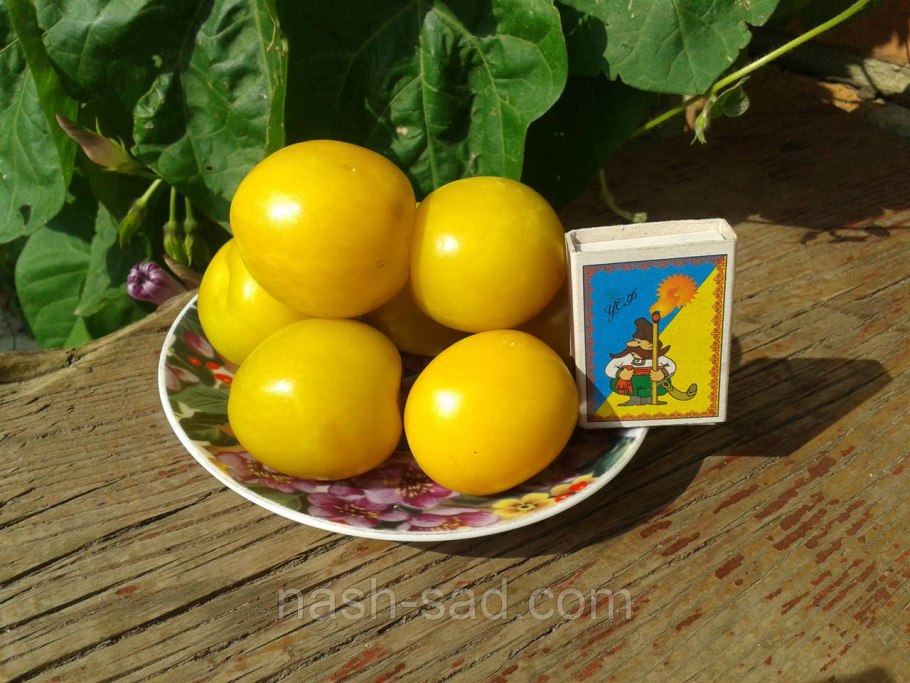 Алыча фрукт