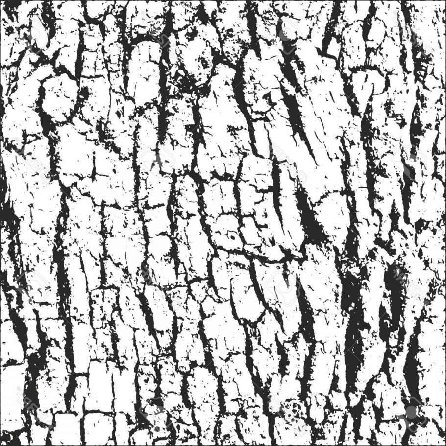 Дуб черешчатый (Quercus Robur)