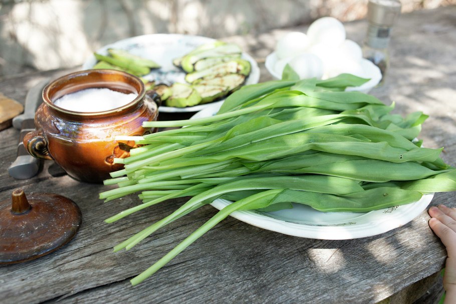 Черемша сиреневая