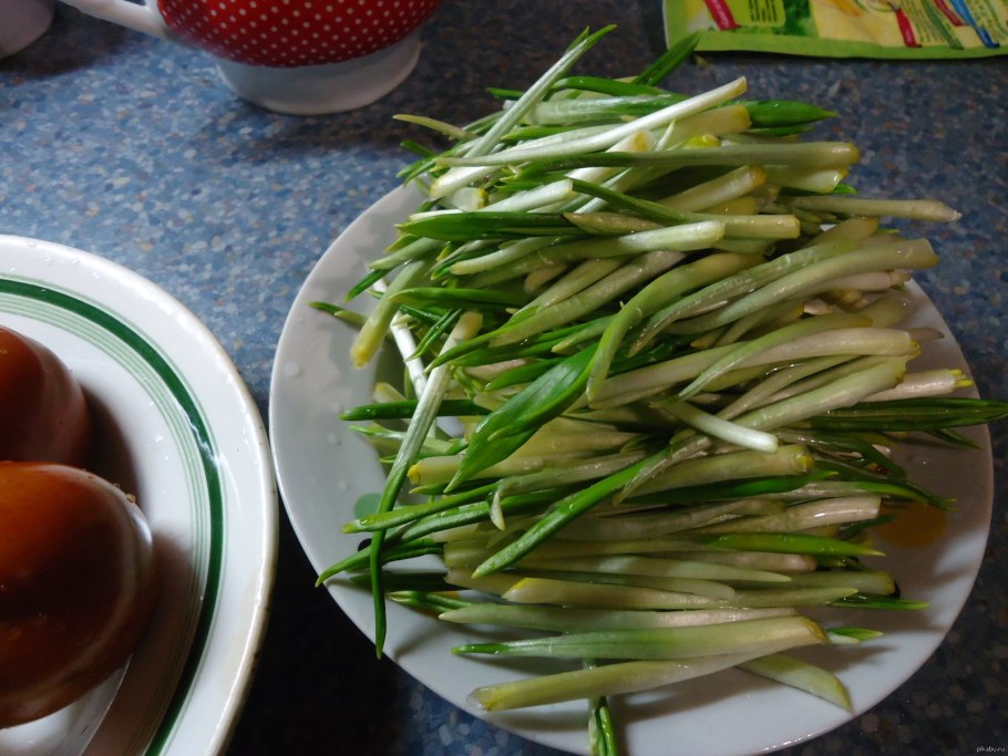 Черемша колба Медвежий лук