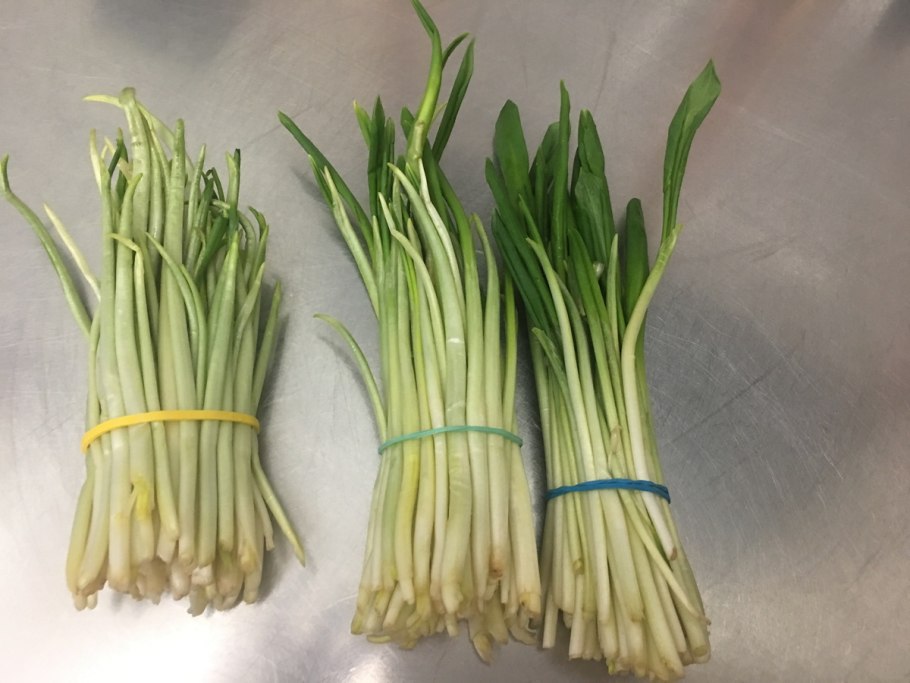 Черемша чесночная