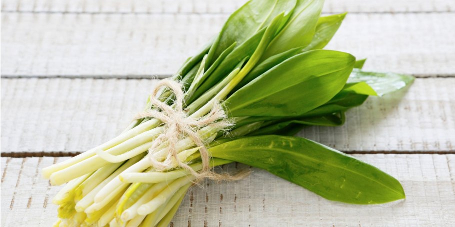 Лук косой Уксун