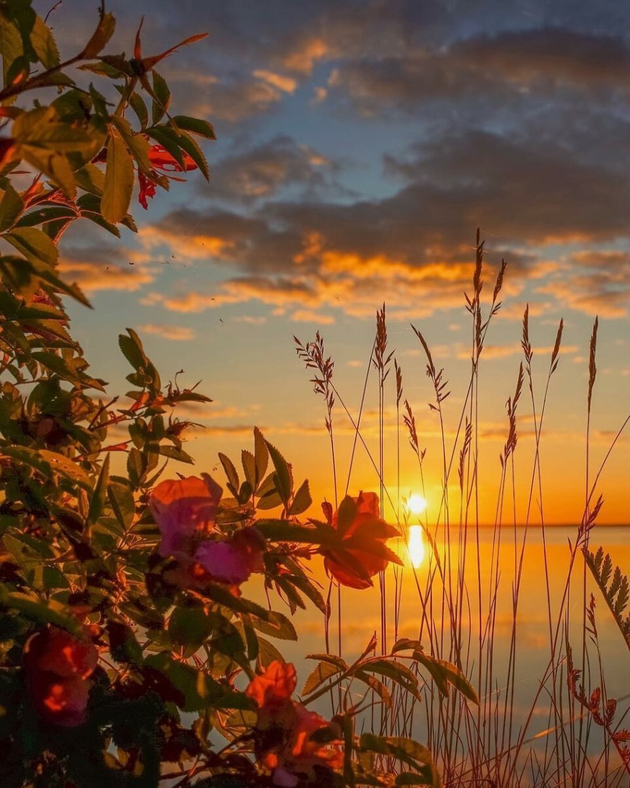 Красивый летний закат