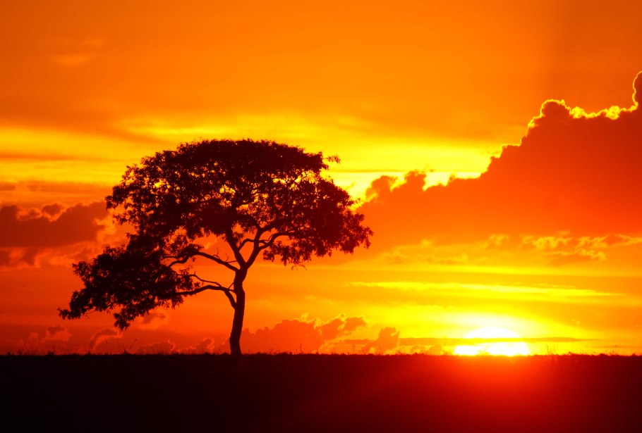 Закат в поле