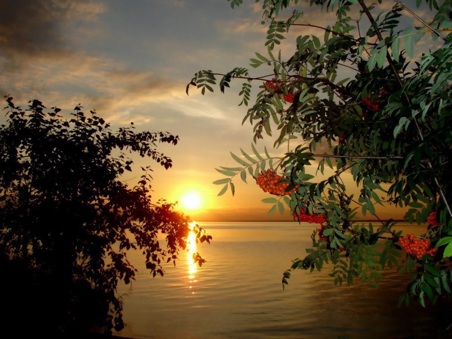 Августовский тихий вечер