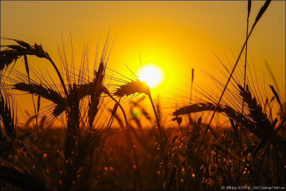 Эстетика природа закат