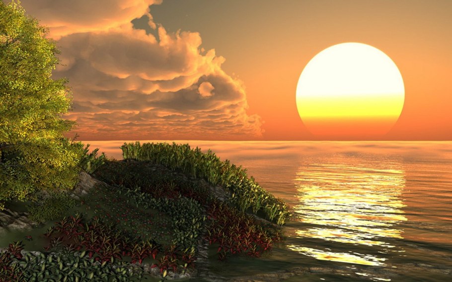 Рассвет в поле