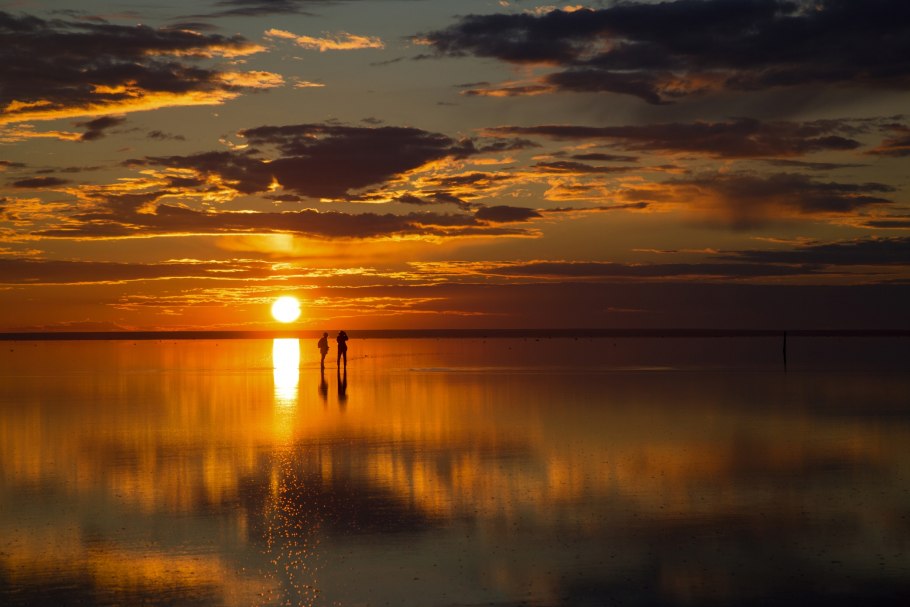 Поле вечером