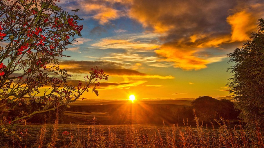 Осенний рассвет