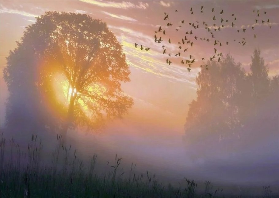 Рассвет души