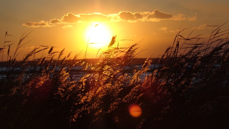 Солнце садится. Осенний закат,