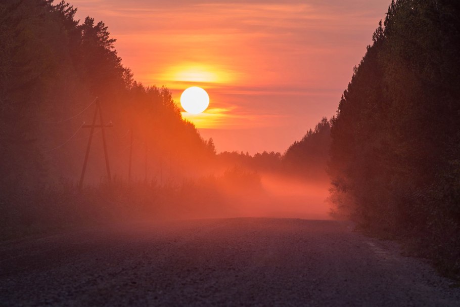 Закат в лесу