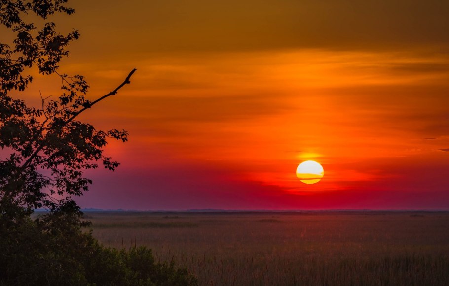 Поле трава закат