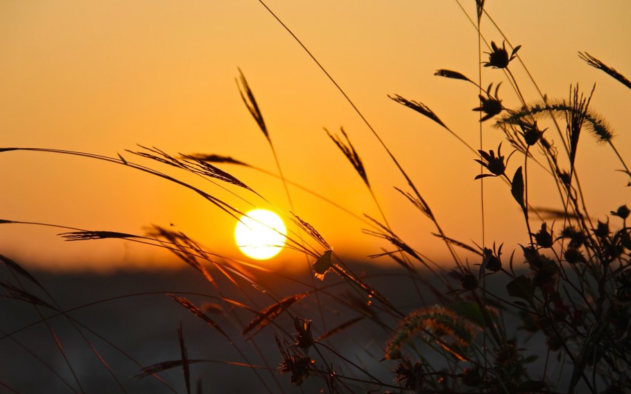 Живой закат