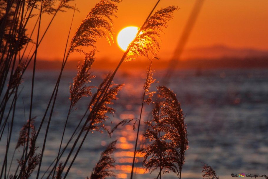 Храм на закате