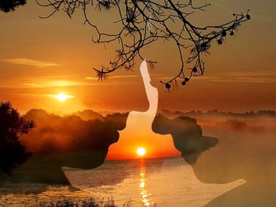 Дерево на Восходе солнца