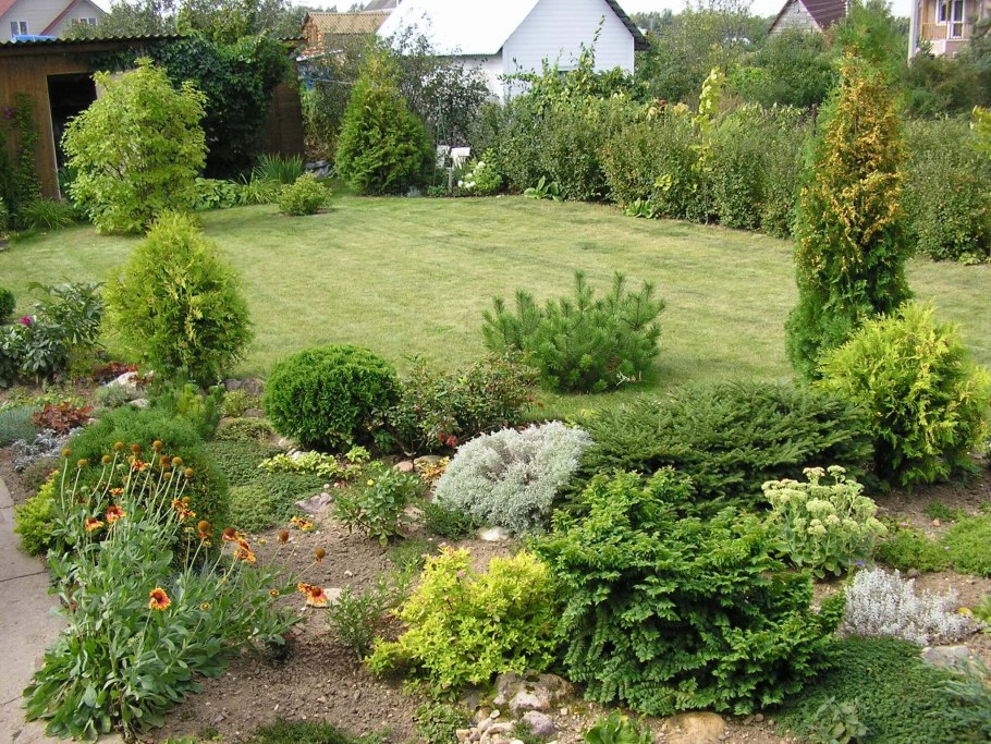 Среднерослые хвойники