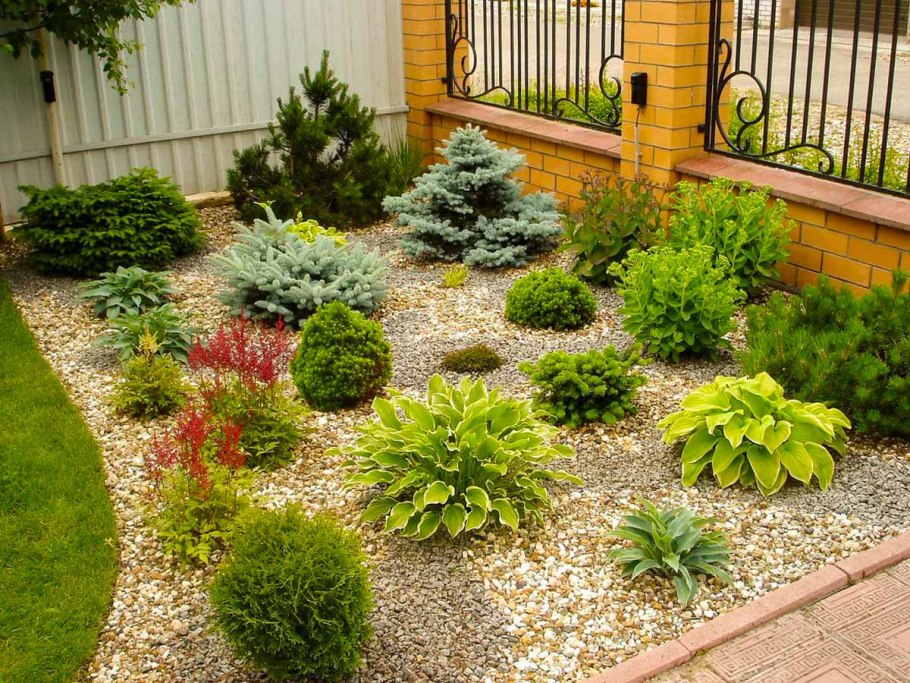 Хвойный рокарий миксбордер