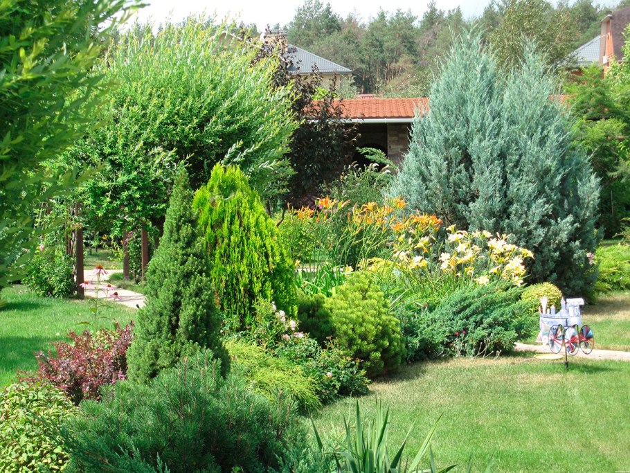 Миксбордер с можжевельником Стрикта