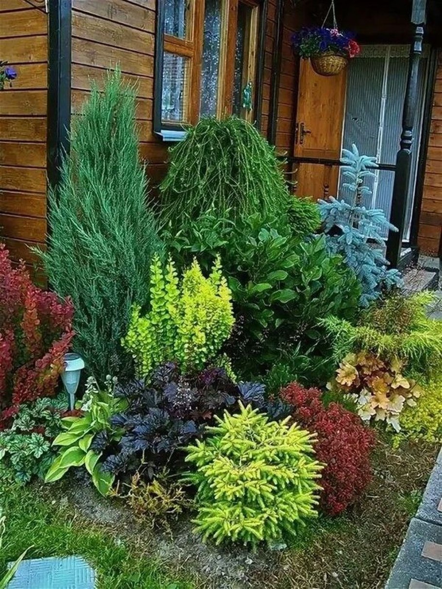 Туи можжевельники и барбарисы в миксбордере