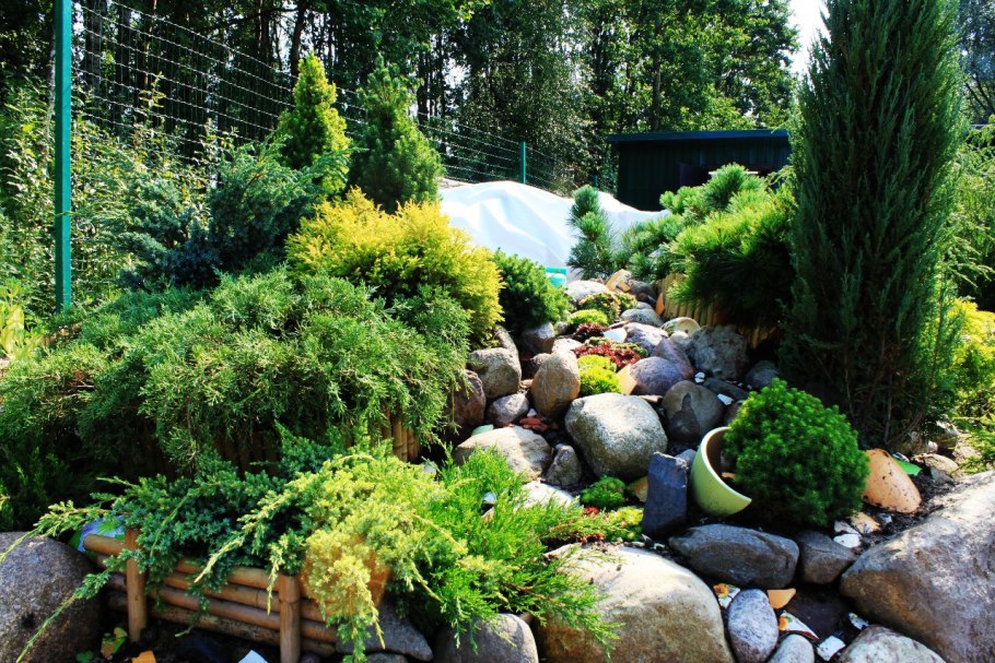 Рокарий горный ручей