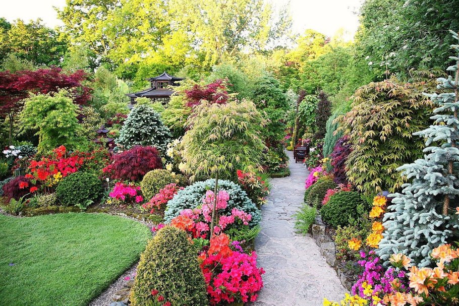 Осока подушковидная