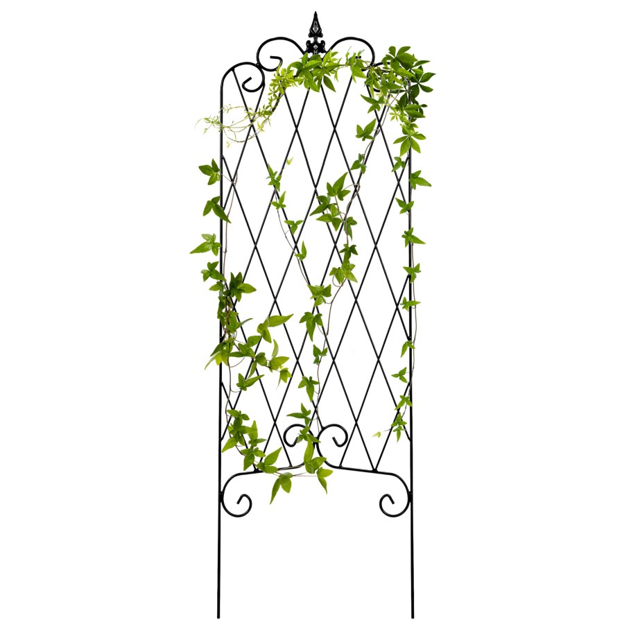 Трельяжная решетка вьющиеся растения