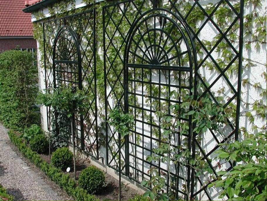 Шпалера Садовая увитая