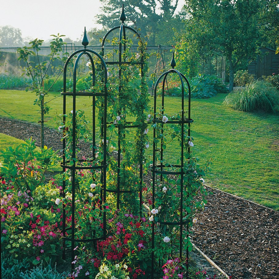 Трельяж для виноградных лоз