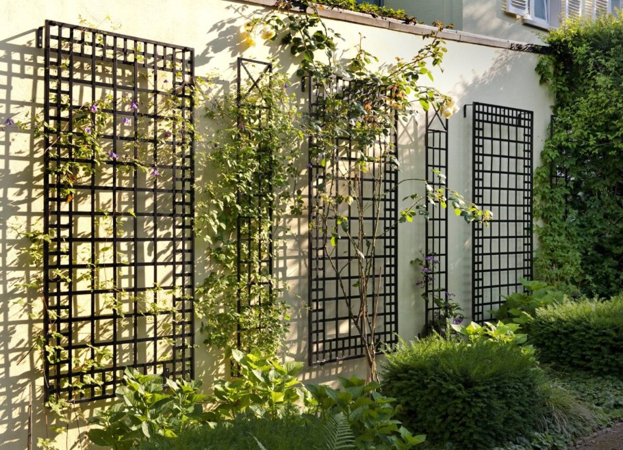 Пергола пирамида клематис