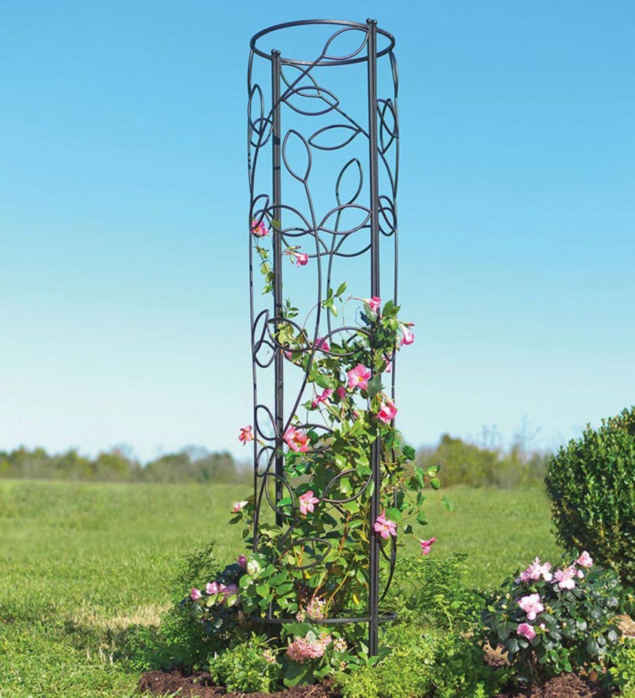 Опоры для цветов в саду