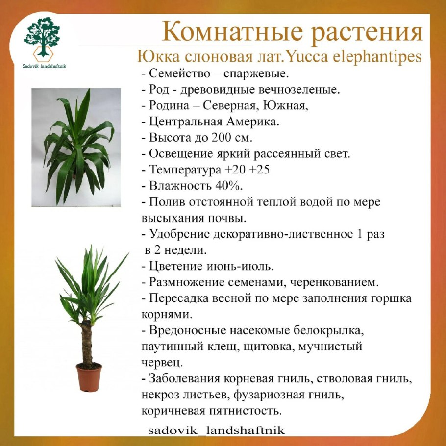 Юкка Элмила
