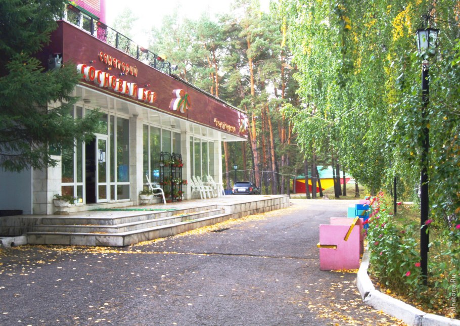 Санаторий в Подмосковье сосны Вос