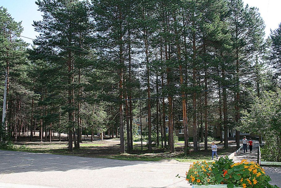 Варламовский заказник Челябинской области