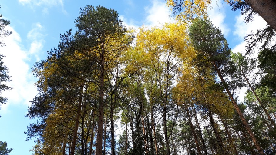 Миасс Тургояк золотой пляж