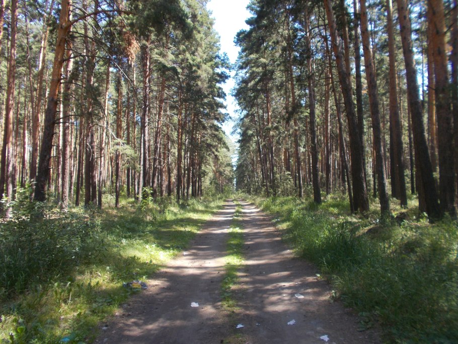 Кичигинский Бор Южноуральск