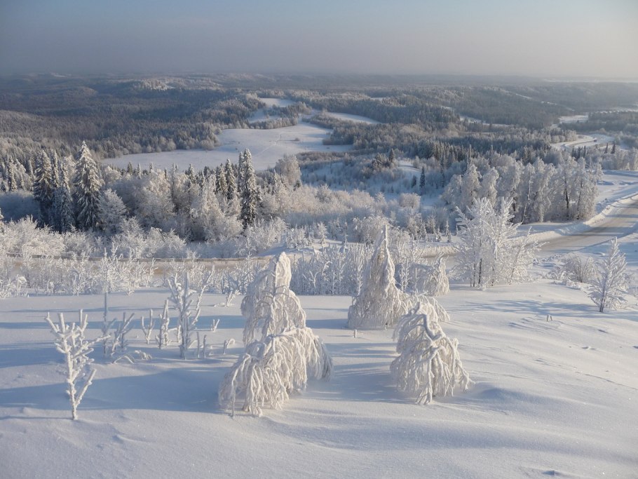 Эми Андерсон гиф