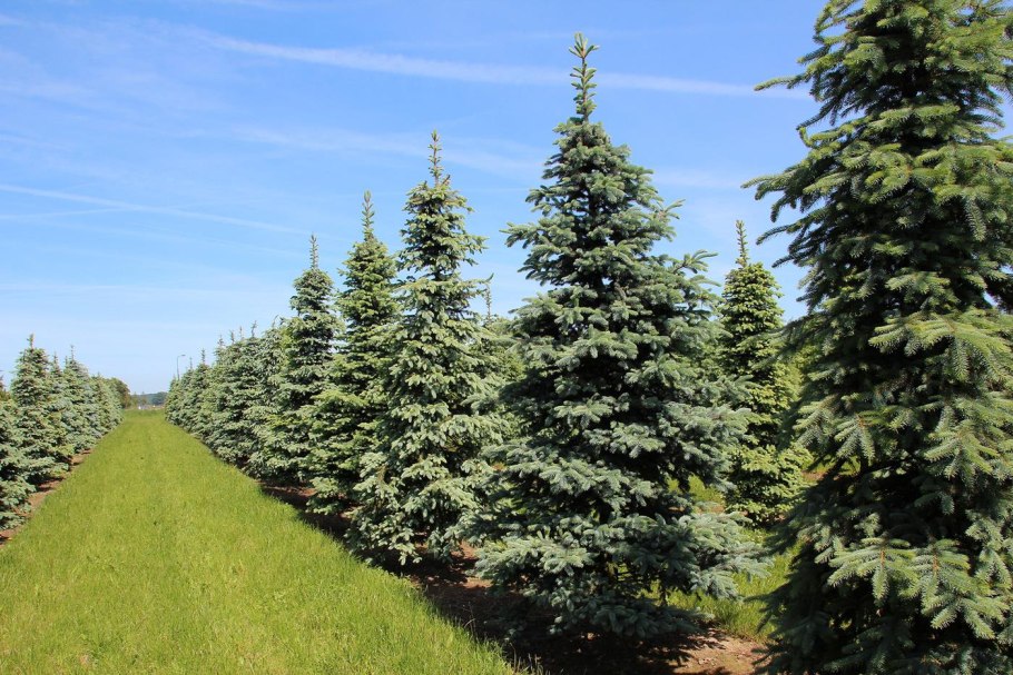 Станция Южноуральск