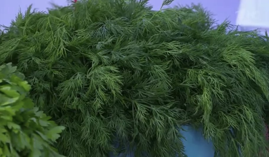 5320-1602512 Цилиндр сцепления главный КАМАЗ